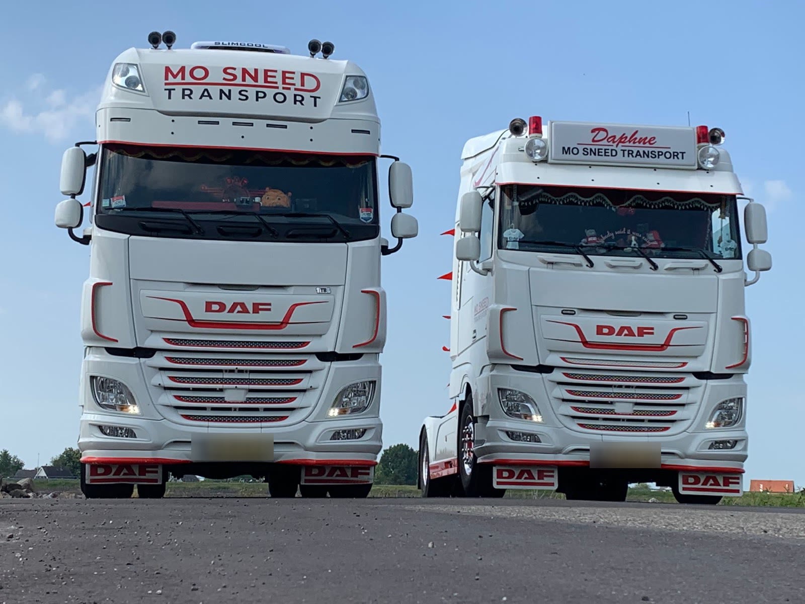 Twee witte DAF-trekkers van Mo Sneed Transport naast elkaar